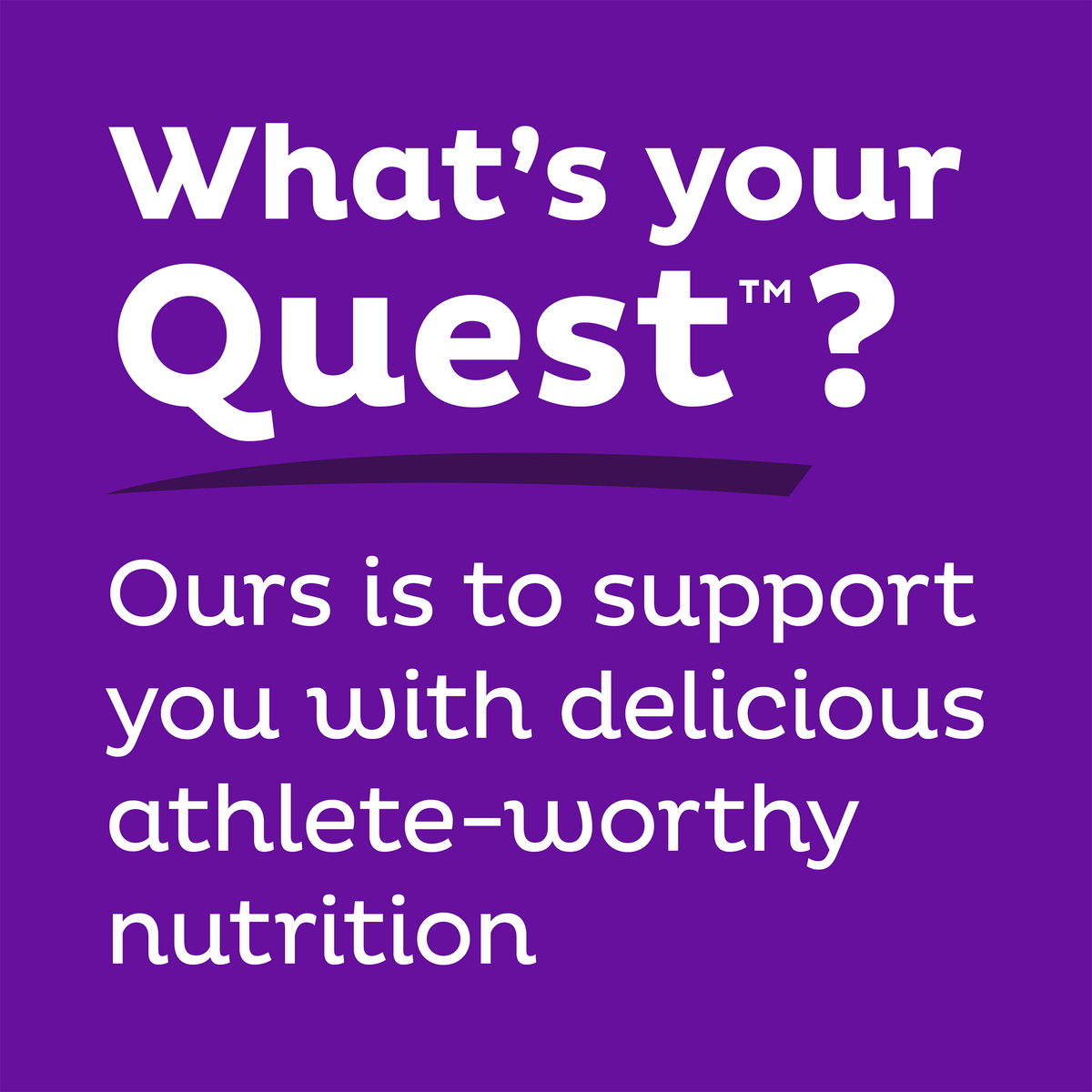 double-chocolate-chunk-protein-bars-q4 qst-000241_double-chocolate-chunk-protein-bars_9.png