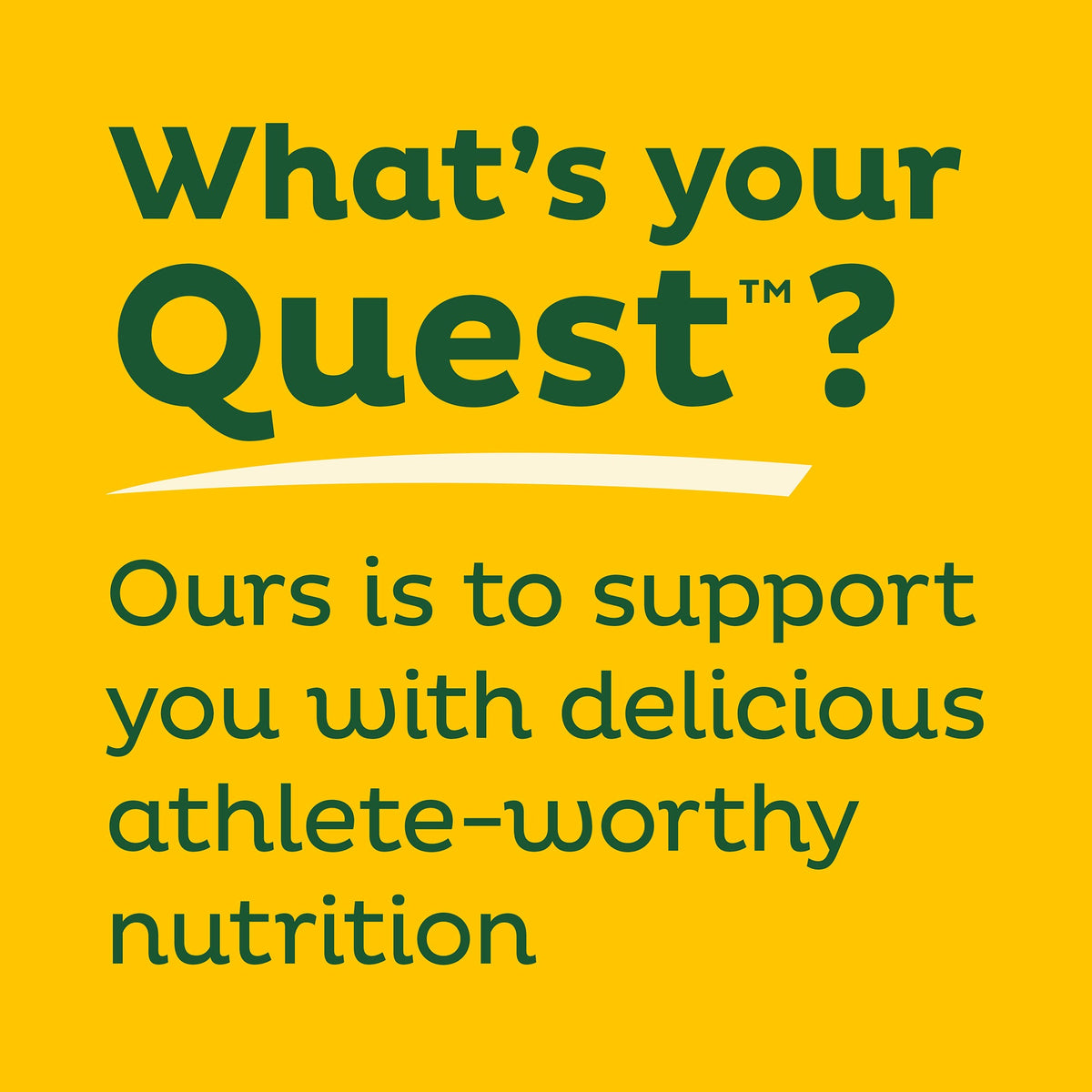 lemon-cake-protein-bars-e2 qst-011285_lemon-cake-protein-bars_9.jpg